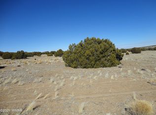 75 County Road 8007 #1, Concho, AZ 85924