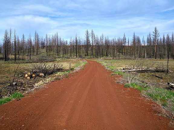 3rd image of 0 Nf #3207