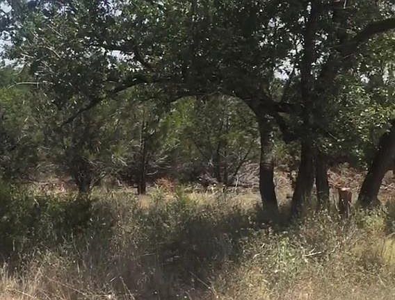 5th image of 2678 Black Bear Dr
