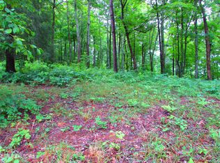 Pinnacle Pointe Way, Sharps Chapel, TN 37866