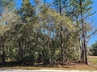 Theresa Ave, Interlachen, FL 32148