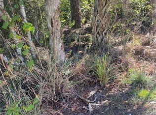  36TH AVE SE, NAPLES, FL 34117