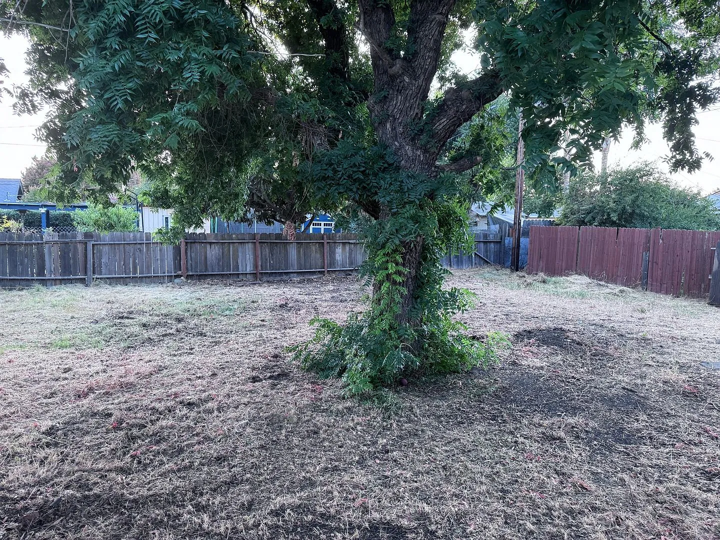 Charming 3BR House in Stockton — Photo 3