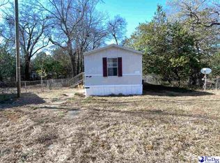 24 Larkin St, Sumter, SC 29150