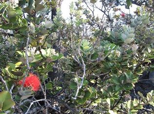 Pineapple Pkwy LOT 25, Captain Cook, HI 96704