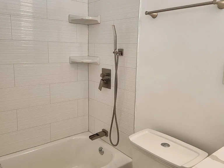 Lower level bathroom