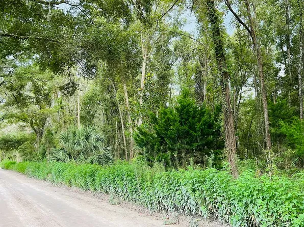 LOT 5 NW 67th Pl, Bell, FL 32619