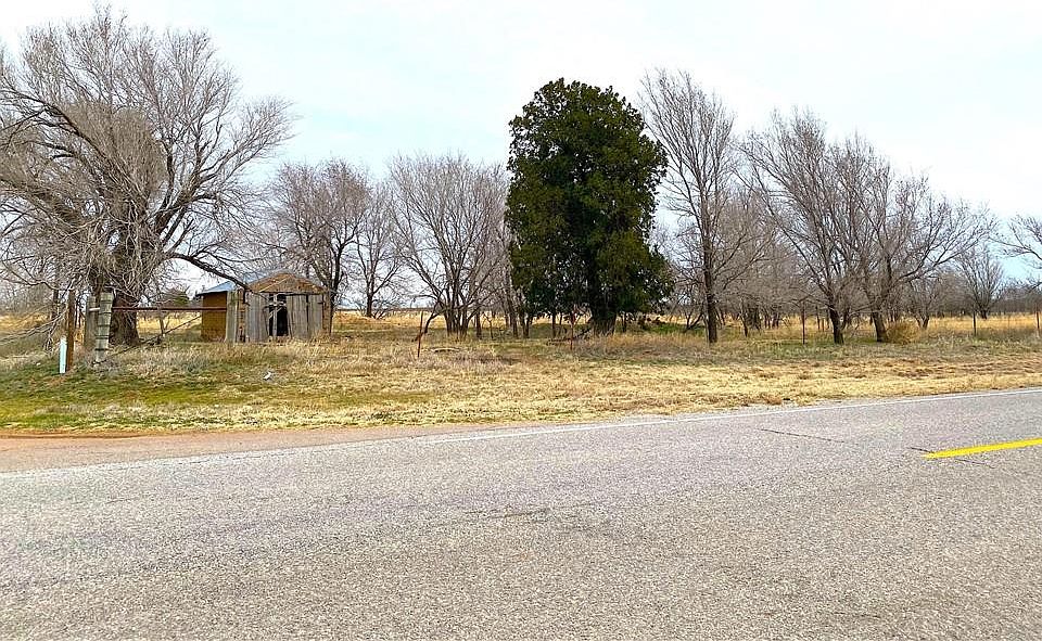 2nd image of Cactus Lot 1-3