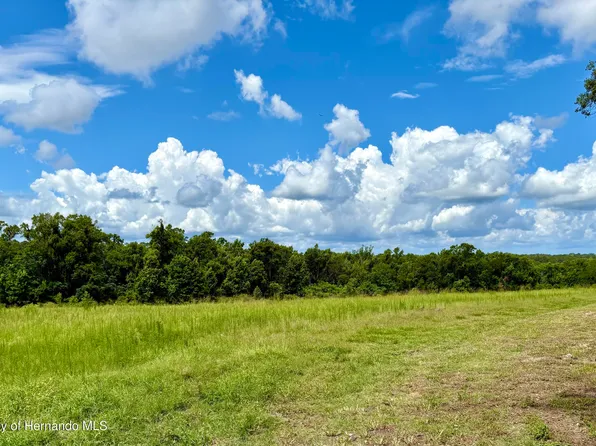 0 Old Spring Lake Rd, Brooksville, FL 34601