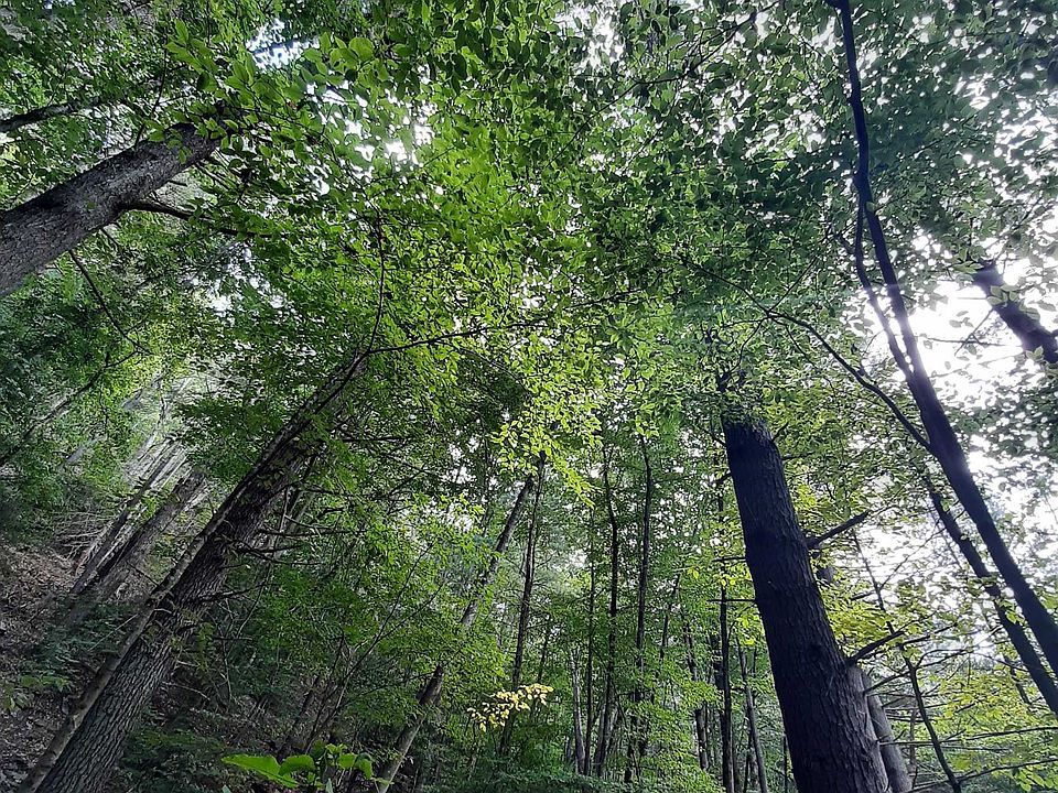 337 Reeds Gap Rd, Lyndhurst, VA 22952 Zillow