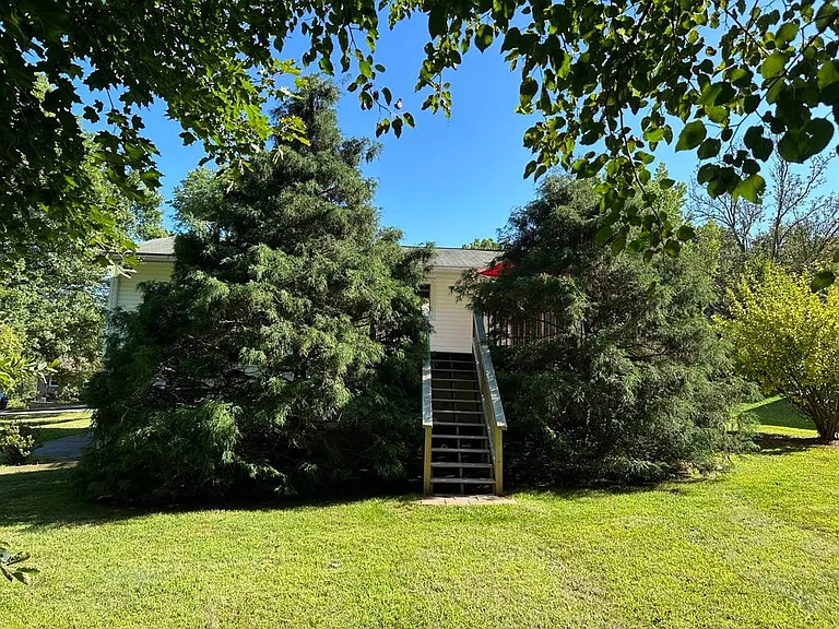 Back yard