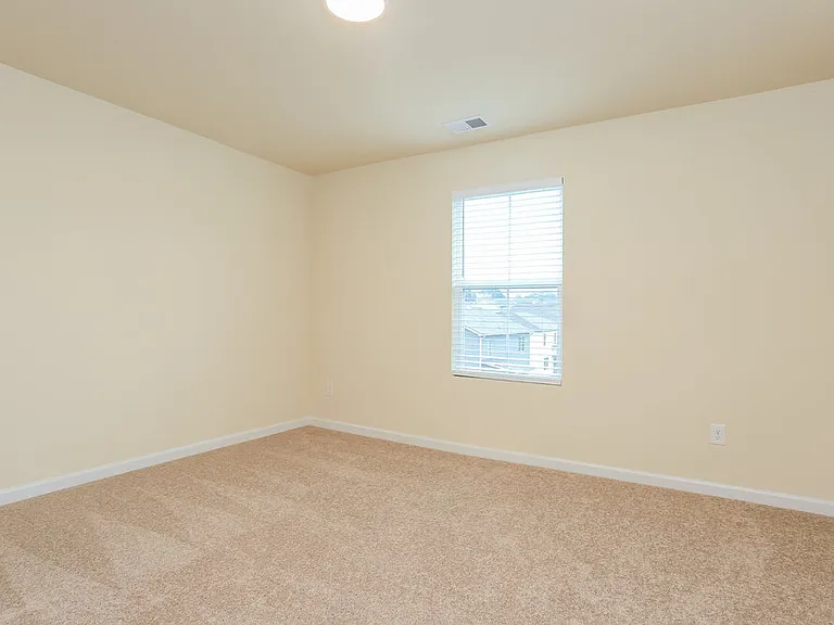 203 Hamilton Pointe Dr — Photo 12