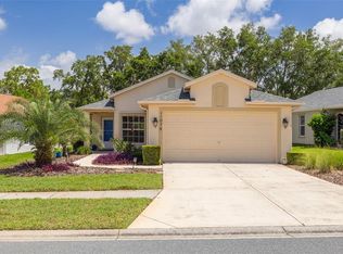 11078 Heathrow Ave, Spring Hill, FL 34609