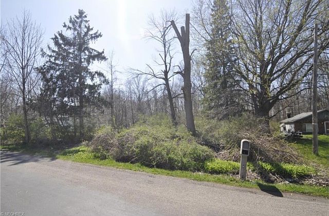 2nd image of 453 Buckeye Dr