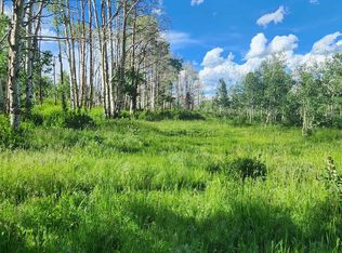 Zs Rd #240, Whitewater, CO 81527