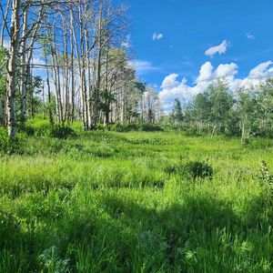 Zs Rd #240, Whitewater, CO, 81527