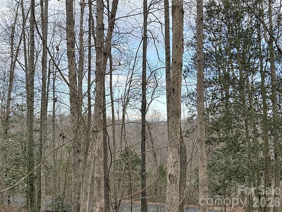2nd image of 0 E Rambling Creek Dr #26