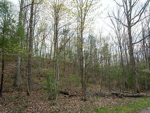 4th image of 241 Red Oak Ln