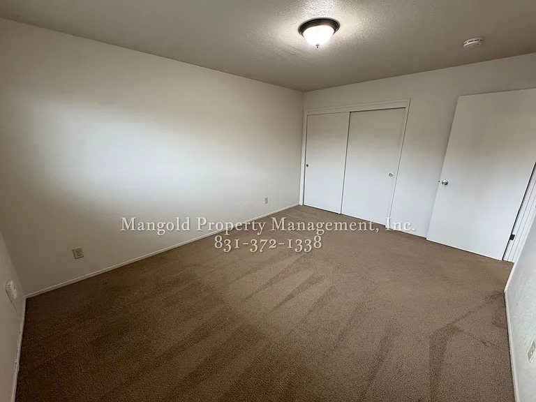 255four — Photo 8