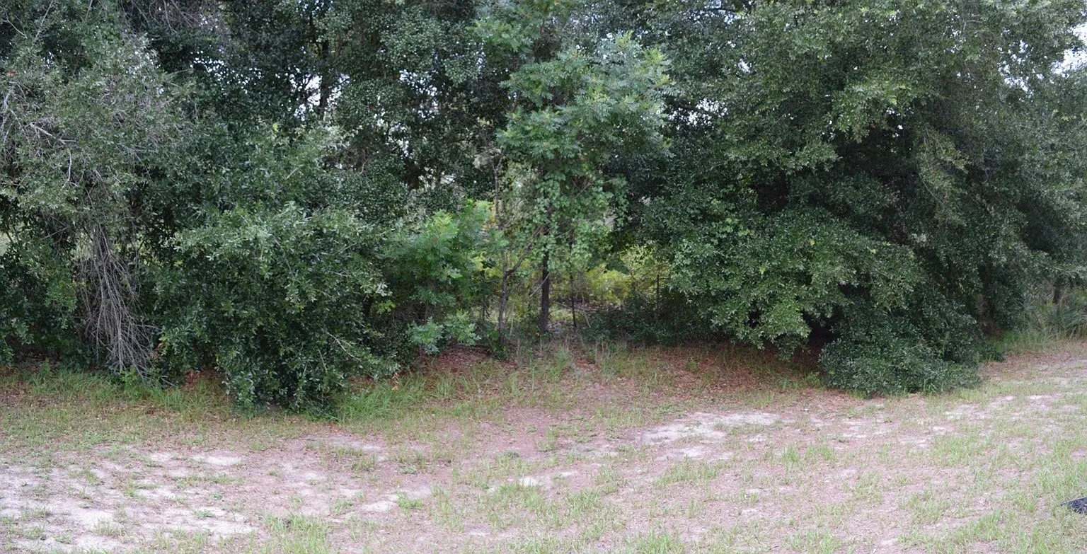 8151 SW 128 LOOP — Photo 3