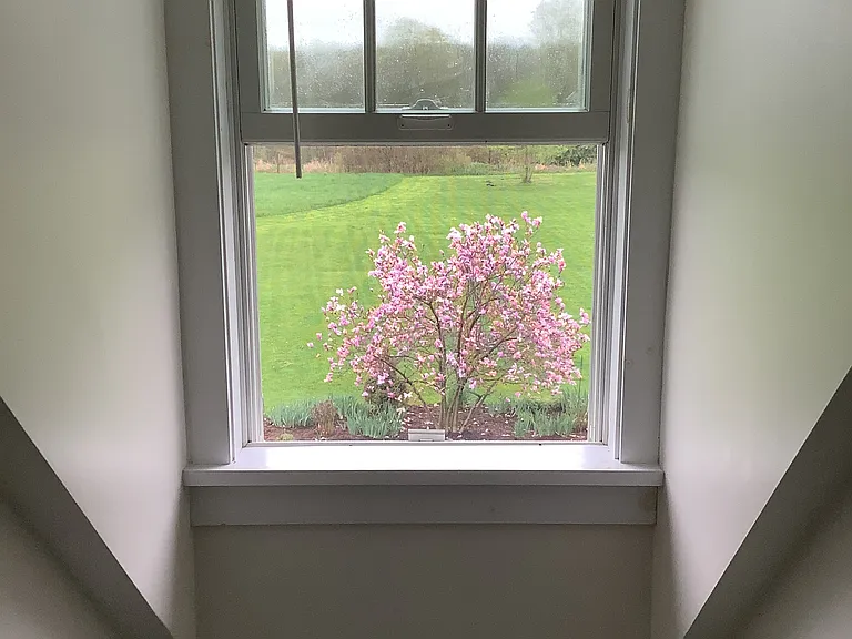 view from bathroom window