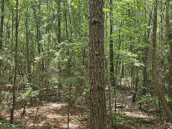 2nd image of 331 Maple St