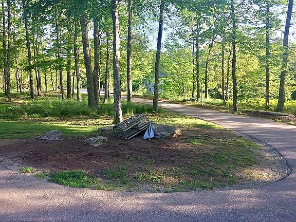 Driveway view from house 