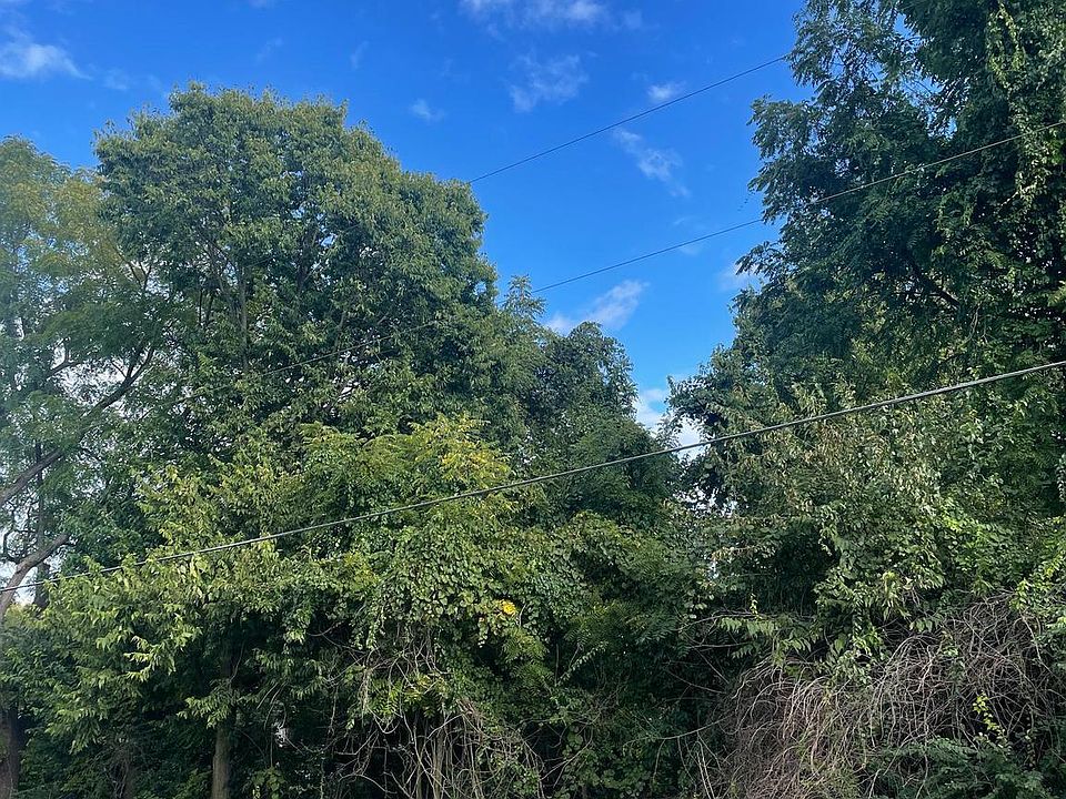 2nd image of Walnut Bottom Rd