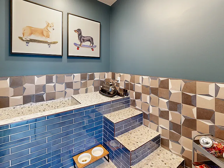 All-New Pet Spa