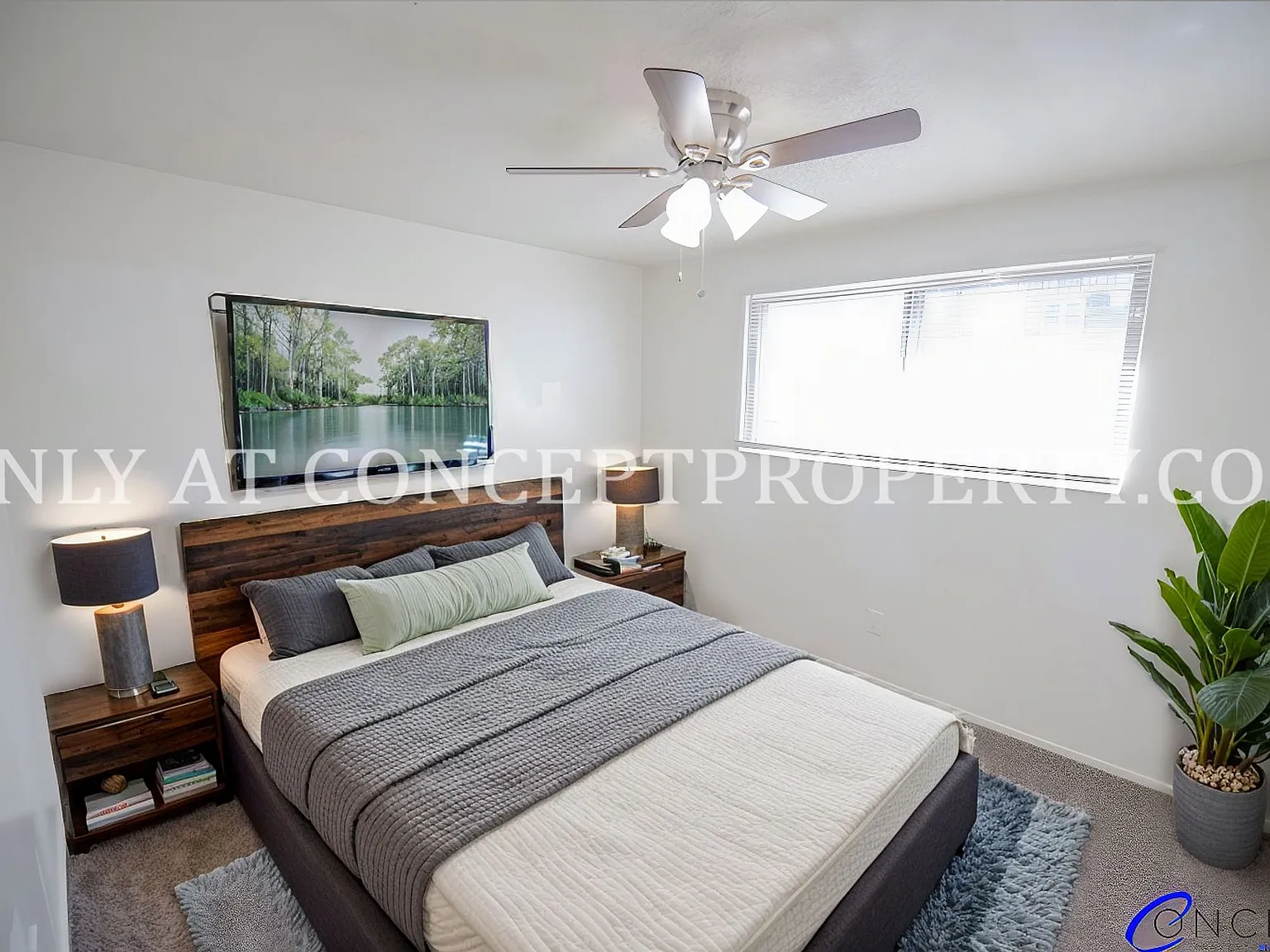 Murray Place — Photo 4