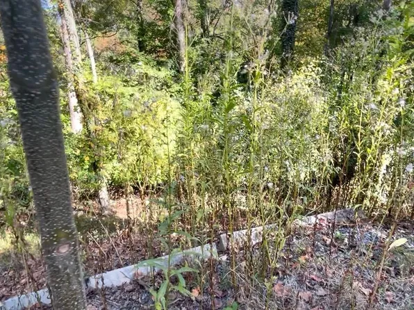 1538 Mayflower Ln, Dandridge, TN 37725