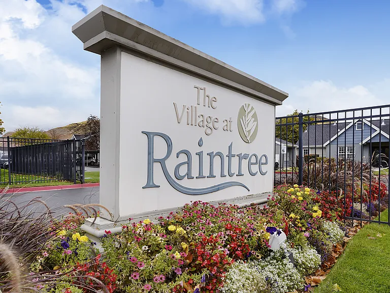 Village at Raintree — Photo 13