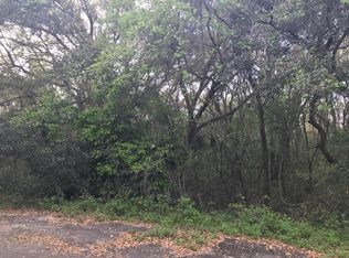 0 Magnolia Pass Trce, Ocklawaha, FL 32179