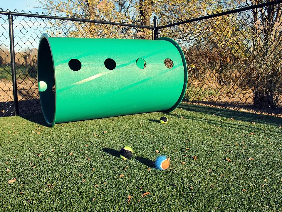 Pet park