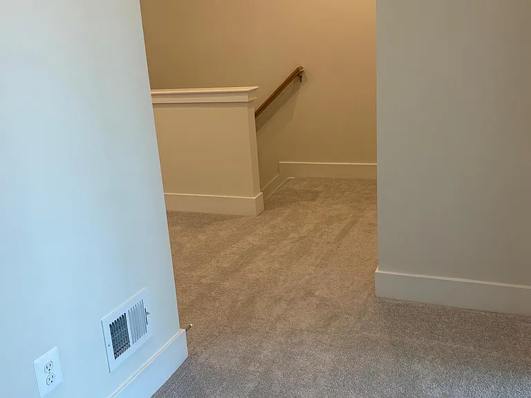 133 Bamboo Shoot Ln — Photo 8