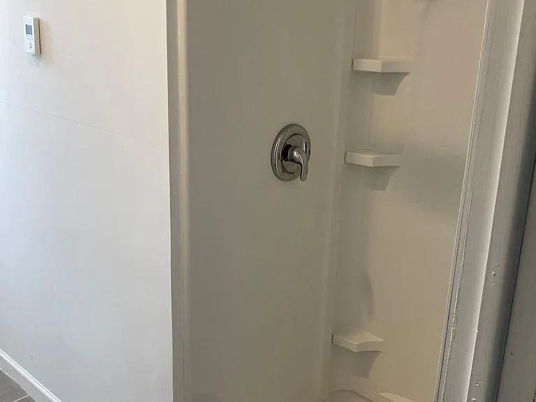 Master Bathroom Shower