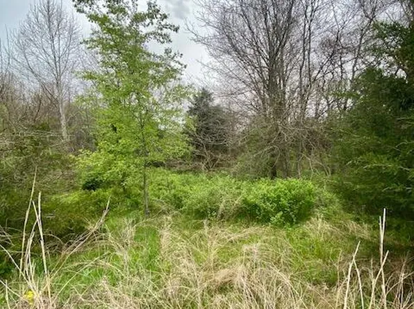 000 Raspberry Road Lot 46, Highlandville, MO 65669