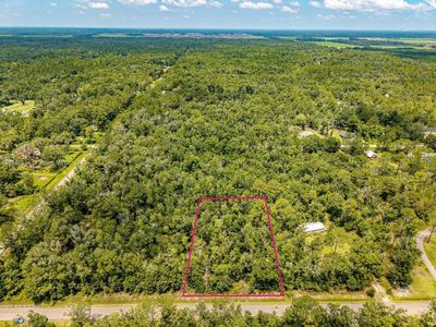10155 Turpin Ave, Hastings, FL, 32145