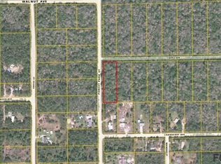 2159 Forest Park St, Bunnell, FL 32110