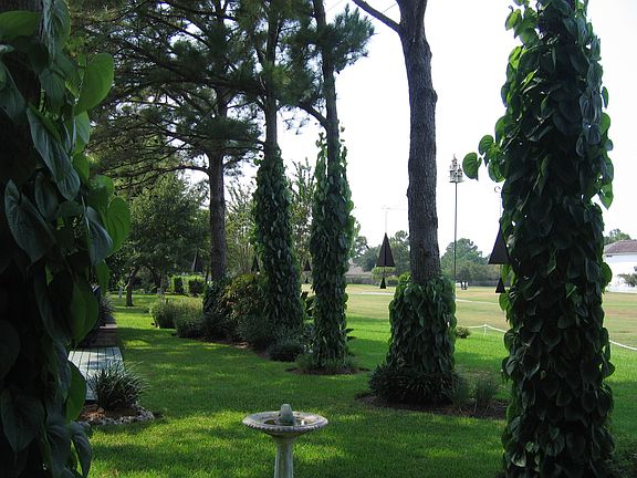 view of golf course from back