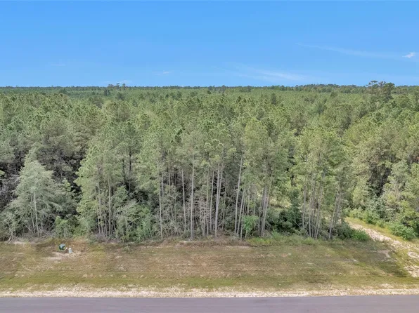 11976 Highbranch Way, Willis, TX 77378