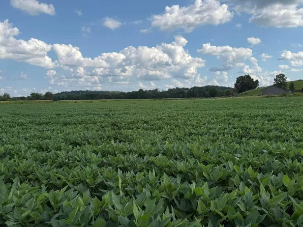 0 Mount Zwingli Rd SE Lot B, Bremen, OH 43107