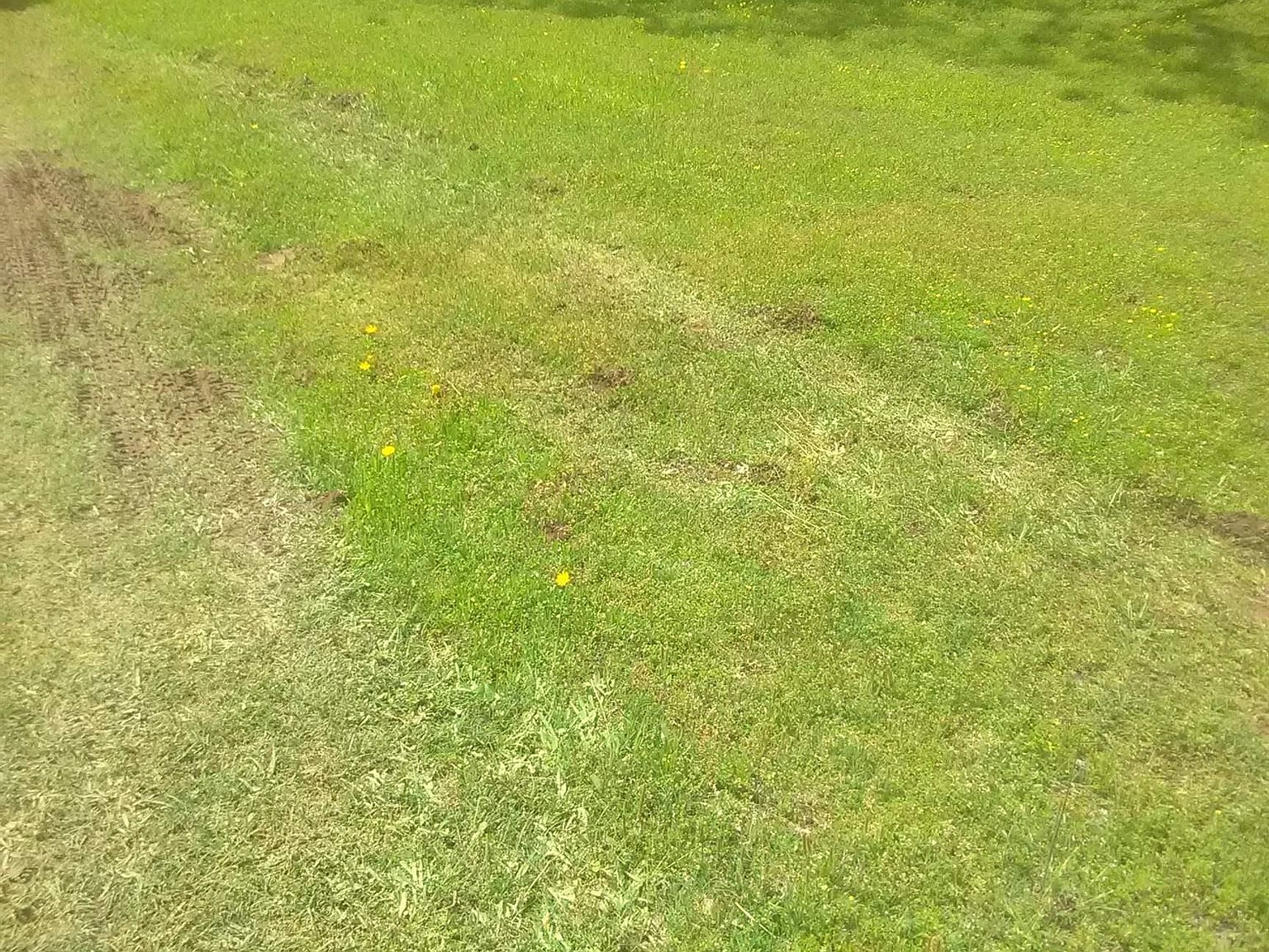 0 Pebble Creek Dr, Mountain View, AR 72560 Zillow