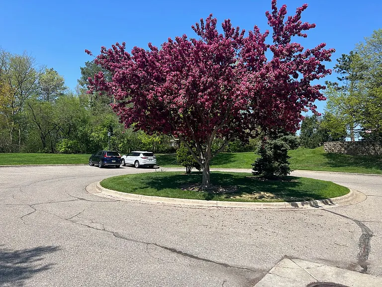 2074 Bent Trail Ct — Photo 7