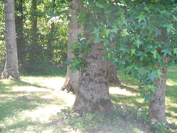 3rd image of 112 Rebecca West Rd #112