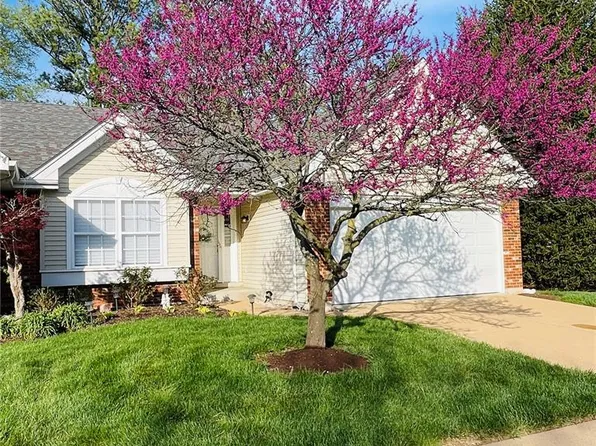 4605 Von Talge Meadows Dr, Saint Louis, MO 63128