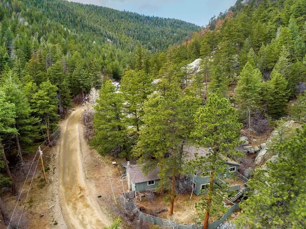 1608 Beaver Brook Canyon Road, Evergreen, CO 80439