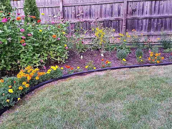 Spring is on its way