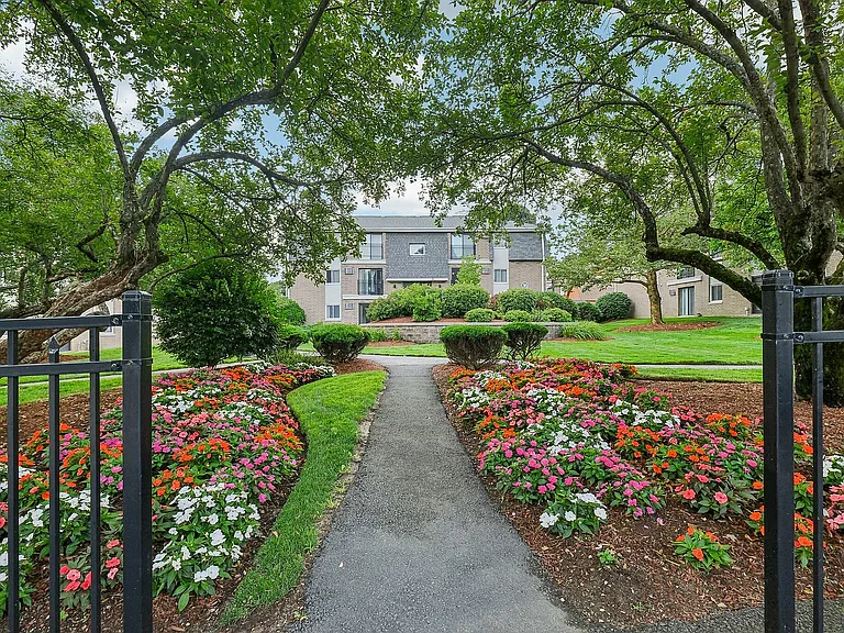 22-web-or-mls-Park St-S1807-022