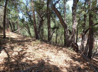 3944 N Orloff Rd, Pine, AZ 85544